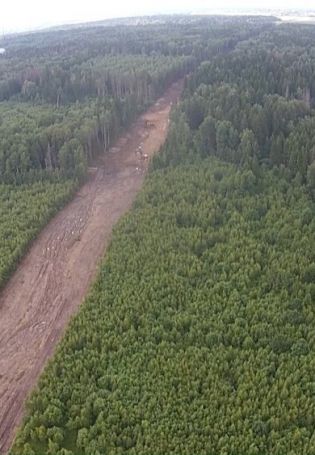 Вырубка леса вид сверху (49 фото)