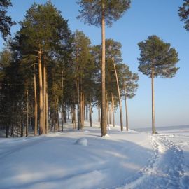 Сосновый Бор в снегу (46 фото)