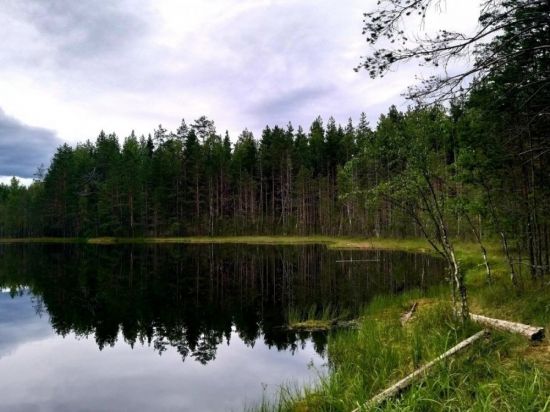 Озеро Воробьево Приозерский (58 фото)