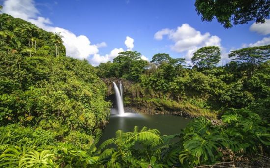 Тропический водопад (48 фото)