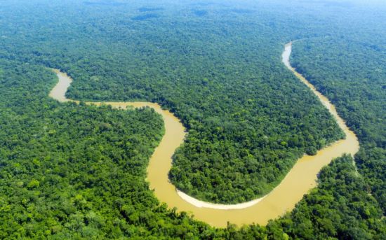 Река Амазонка в Бразилии (55 фото)