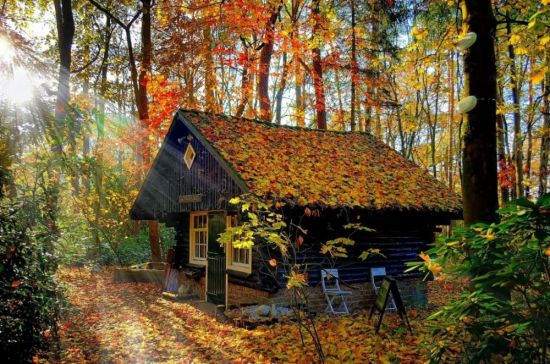 Старинный дом в лесу (57 фото)