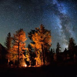 Звезды над лесом (53 фото)