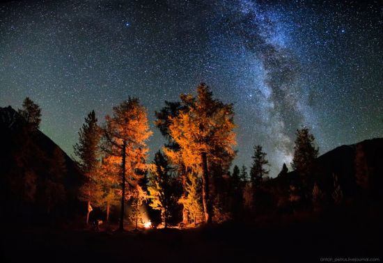 Звезды над лесом (53 фото)