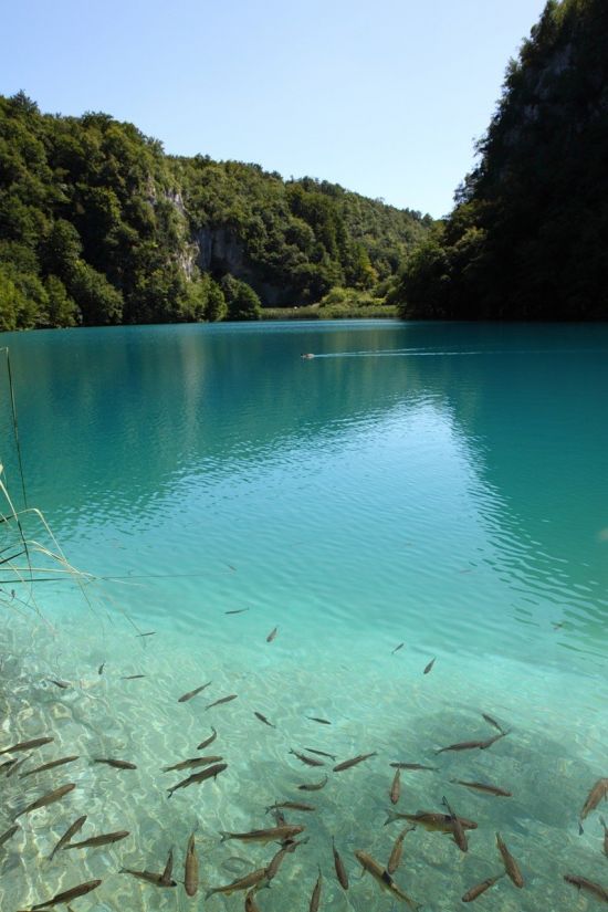 Озеро главашево хорватия (71 фото)