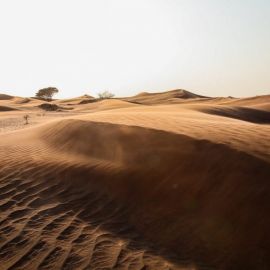 Пустыни аравийского полуострова (64 фото)