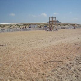 Пляж тортуга витязево (78 фото)