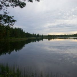 Орлинское озеро (67 фото)
