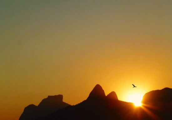 Горы солнце птицы (70 фото)