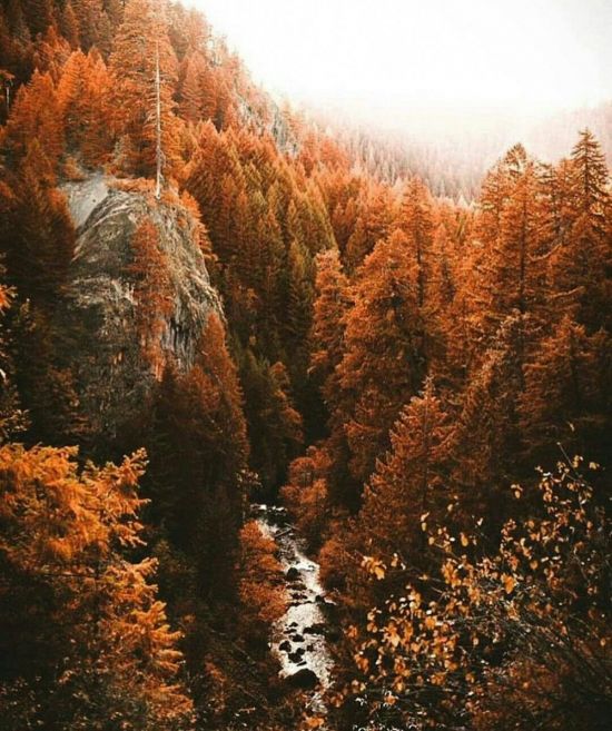 Осень красота природы (75 фото)