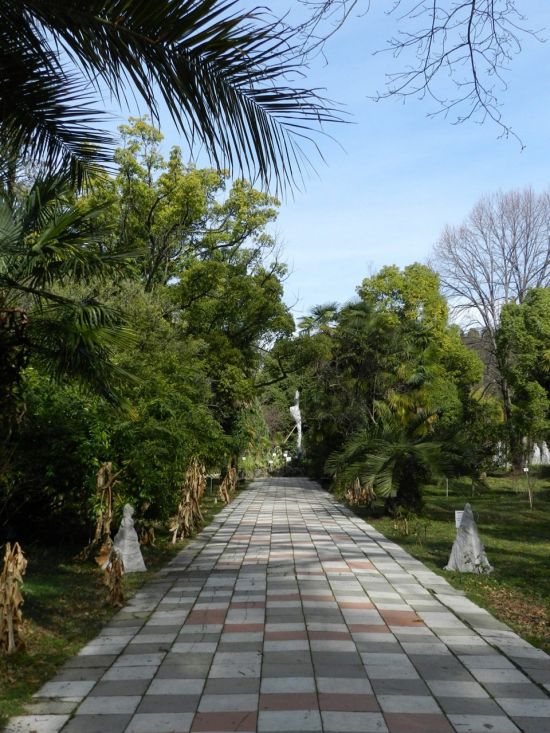 Ботанический сад абхазия сухум (76 фото)