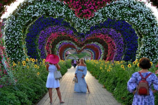 Дубай сад чудес и парк цветов (71 фото)