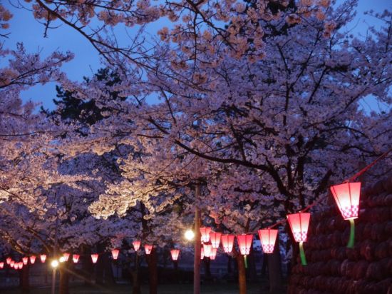 Японский сад ночью (70 фото)