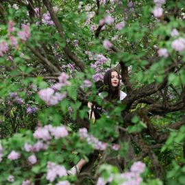 Сиреневый сад измайловский парк (74 фото)
