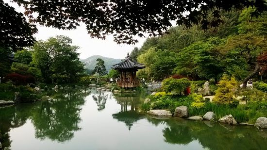 Японский сад ива парк (67 фото)