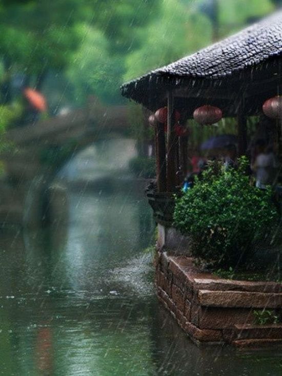 Летний дождь в саду (69 фото)