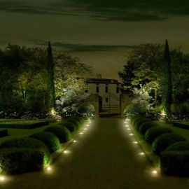 Ночной сад цветы (68 фото)