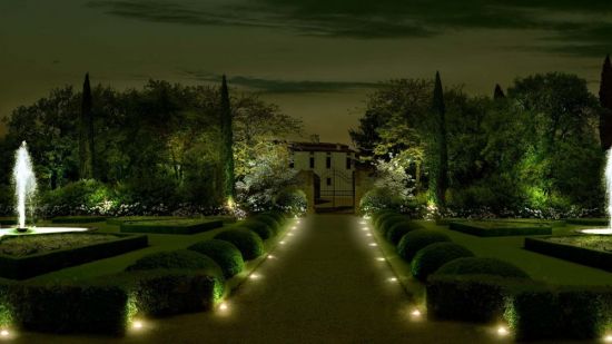 Ночной сад цветы (68 фото)