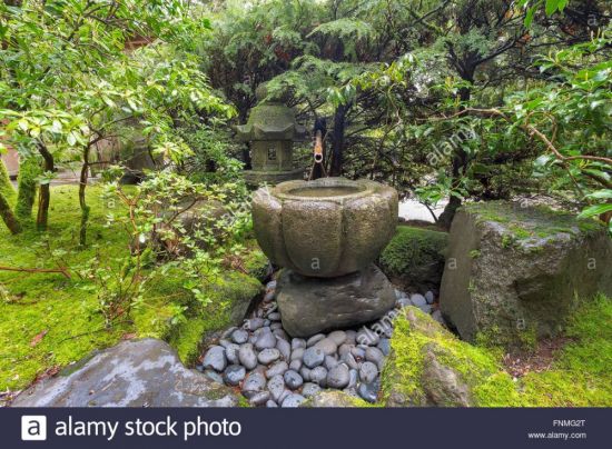 Цукубай в японском саду (64 фото)