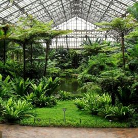 Ботанический сад анталия (57 фото)