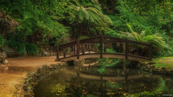 Японский мостик в японском саду (56 фото)