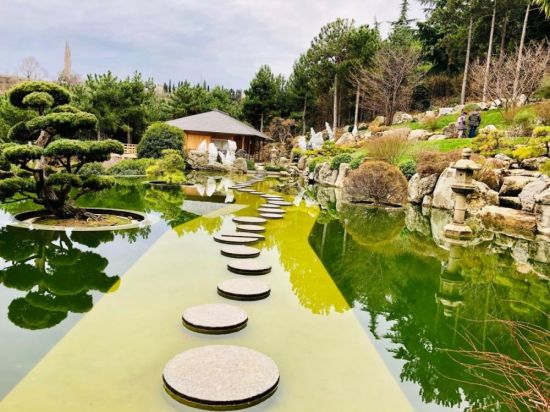 Мрия ялта японский сад (76 фото)
