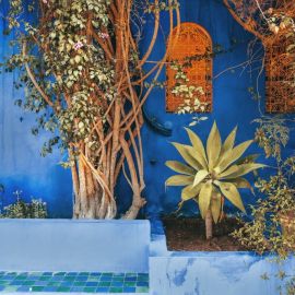 Сад мажорель в марокко (61 фото)
