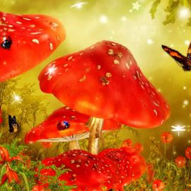 Животные растения грибы (75 фото)