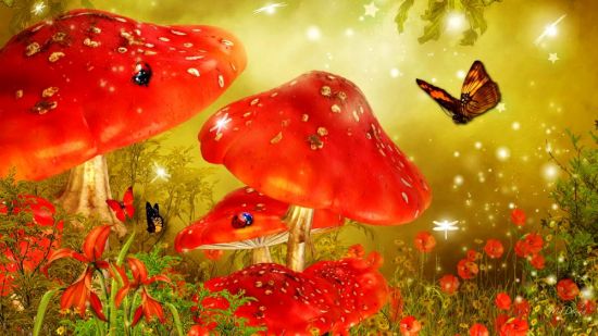 Животные растения грибы (75 фото)