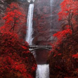 Водопад в японии (62 фото)