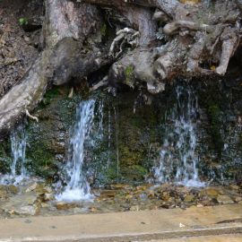 Плакун водопад пермский (76 фото)