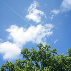 Облака вид снизу вверх (70 фото)