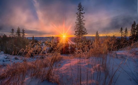 Зимнее солнце сквозь облака (68 фото)