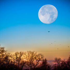 Небо восход луны (75 фото)