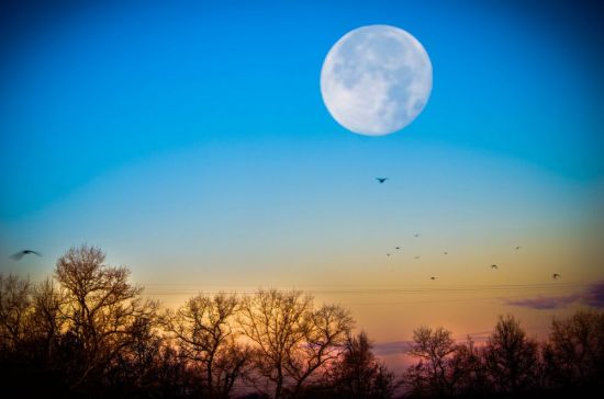 Небо восход луны (75 фото)