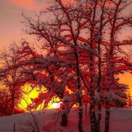 Красный закат зимой (72 фото)