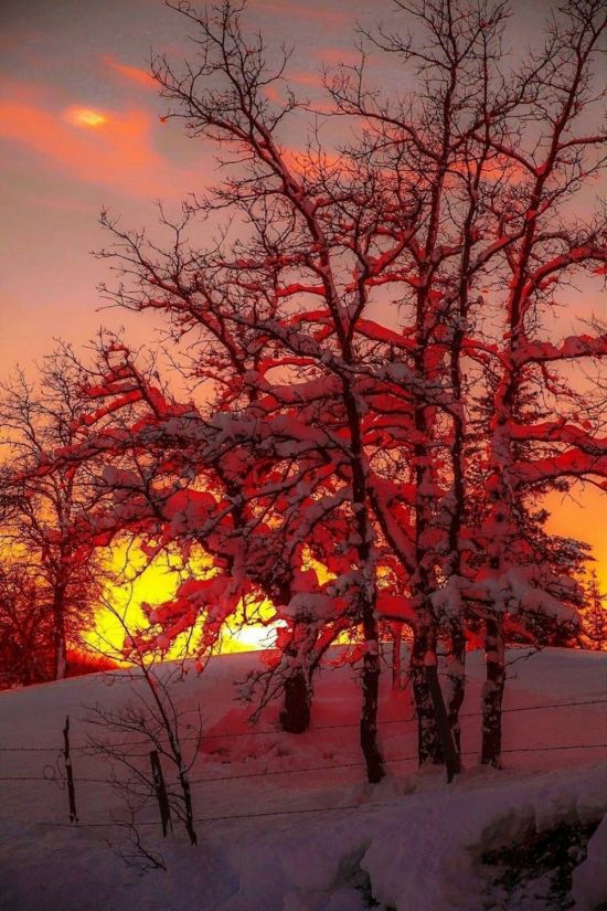 Красный закат зимой (72 фото)