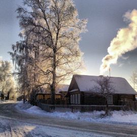Береза зимой в деревне (74 фото)
