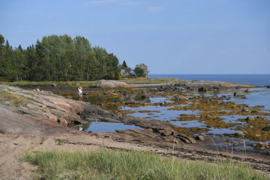 Беломорск пляж белого моря (72 фото)