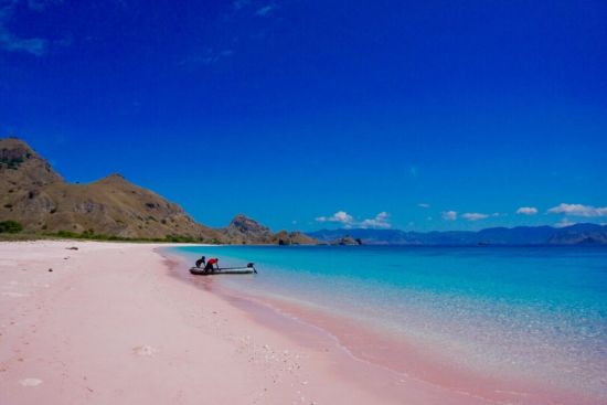 Остров комодо розовый пляж (71 фото)