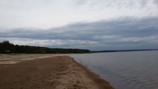 Финский залив сосновый бор пляж (78 фото)