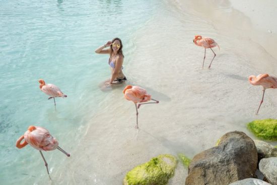 Пляж фламинго в лазаревском (72 фото)