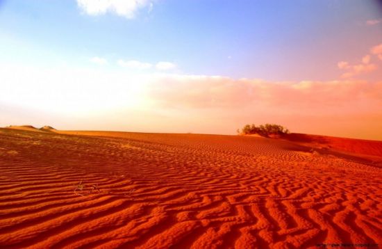 Пустыня большой нефуд (72 фото)