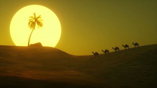 Восход солнца в пустыне (63 фото)