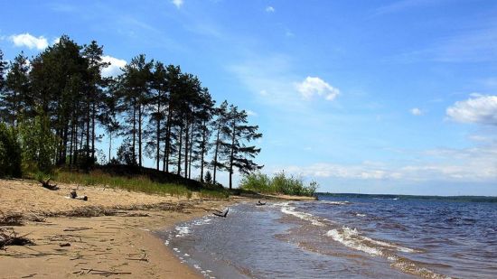 Горьковское море сокольское (73 фото)