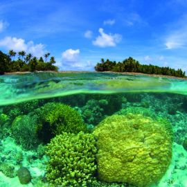 Мальдивы рифы (69 фото)