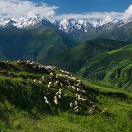Горы чеченской республики (61 фото)