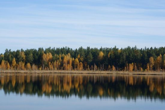 Белое озеро ульяновская (73 фото)
