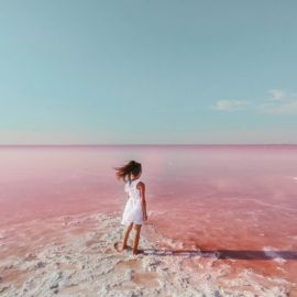 Розовое озеро бурсоль (77 фото)