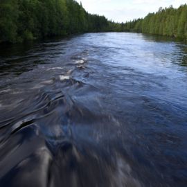 Река кемь карелия (77 фото)